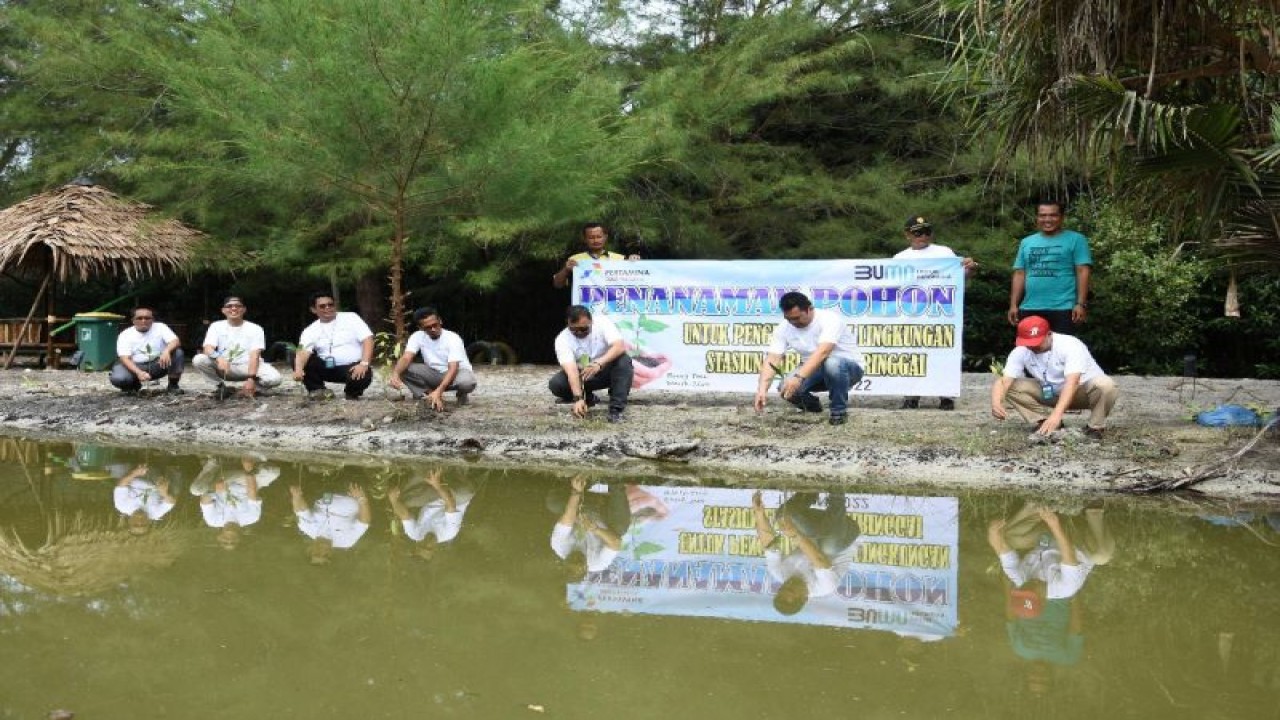 Kegiatan Subholding Gas Pertamina, PT PGN Tbk menanam 1.000 bibit pohon mangrove dan 1.040 bibit pohon aneka buah di kawasan objek wisata Mangrove Pandan Alas, Desa Sriminosari, Kecamatan Labuhan Maringgai, Kabupaten Lampung Timur, Lampung. ANTARA/HO-PGN