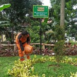 Taman-1671002273