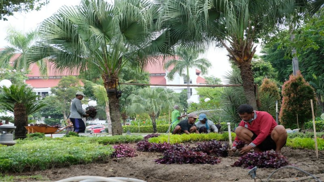 Petugas menata Taman Surya di halaman Balai Kota Surabaya, Jawa Timur, Rabu (14/12/2022). (ANTARA/HO-Diskominfo Surabaya)