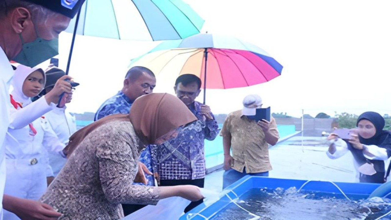 Tambak udang milik SMK Pusat Keunggulan (PK) Perikanan dan Kelautan Puger, Jember, Jawa Timur yang menggunakan TeFa. (ANTARA/HO-Kemendikbudristek)