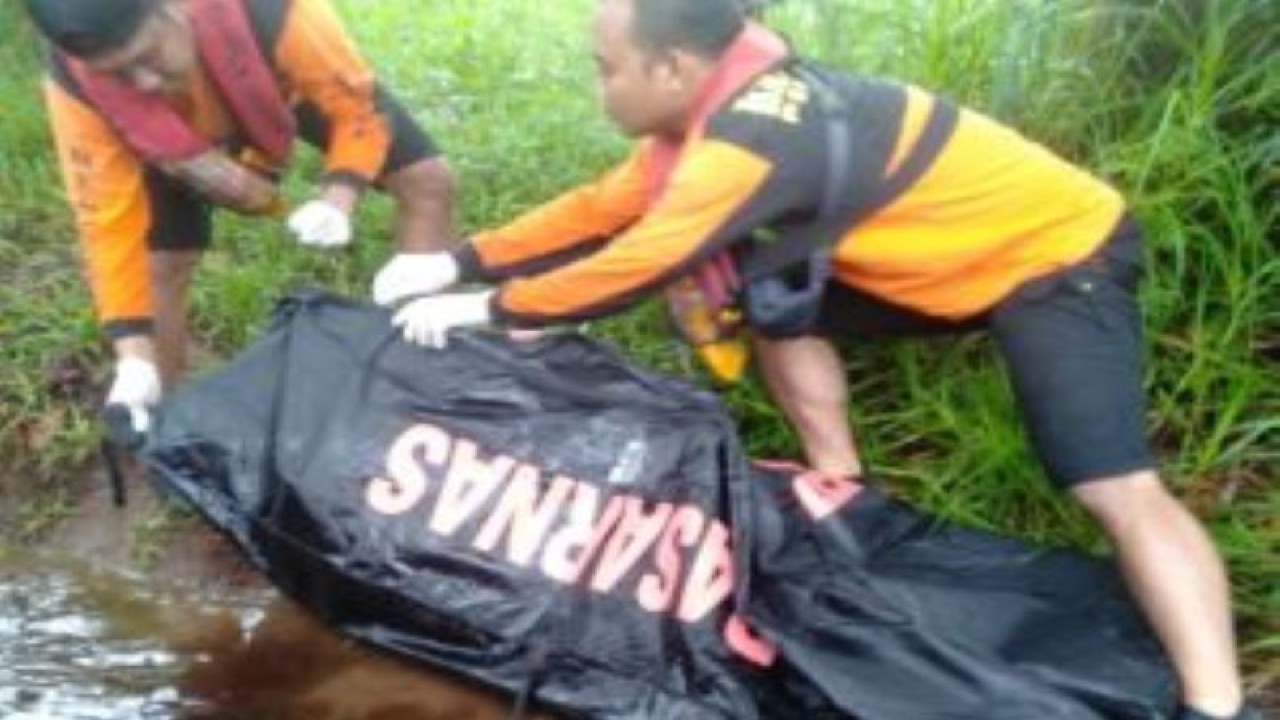 Tim Search And Rescue (SAR) gabungan di Kota Dumai telah menemukan jasad seorang pemancing Rudi karena diterkam buaya di sungai Masjid Kelurahan Bagan Keladi, Kecamatan Dumai Barat, Kota Dumai. Antara/Juru bicara TIM SAR Dumai.