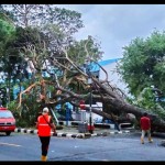 Tumbang-1671797897