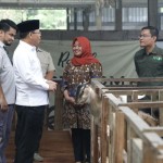 utusan-1672307171