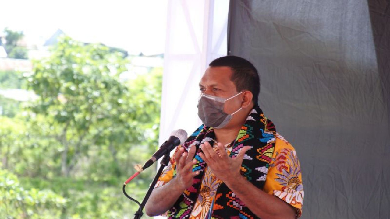 Wakil Ketua Komisi IX DPR-RI Emanuel Melkiades Laka Lena (ANTARA/Benny Jahang)