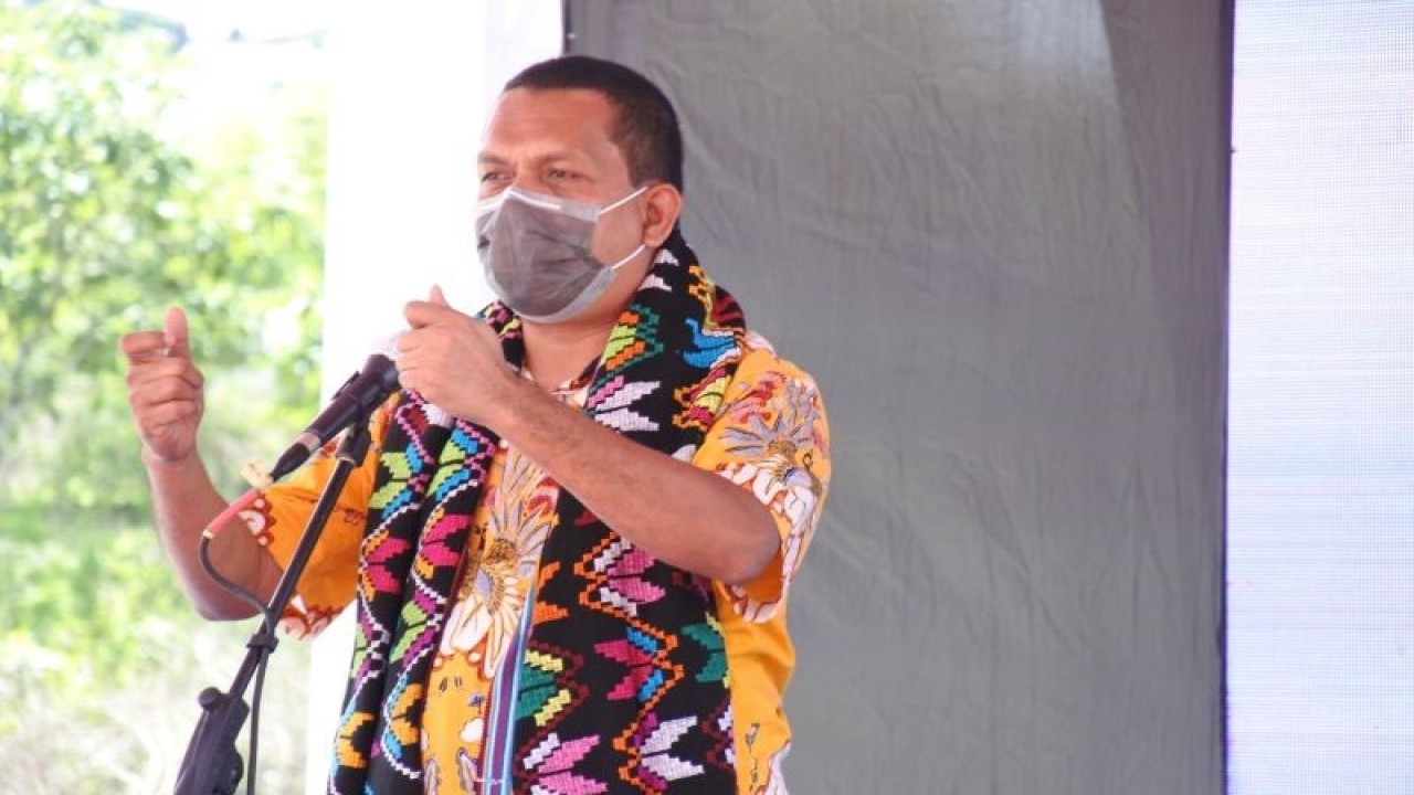 Wakil Ketua Komisi IX DPR-RI Emanuel Melkiades Laka Lena. ANTARA/Benny Jahang