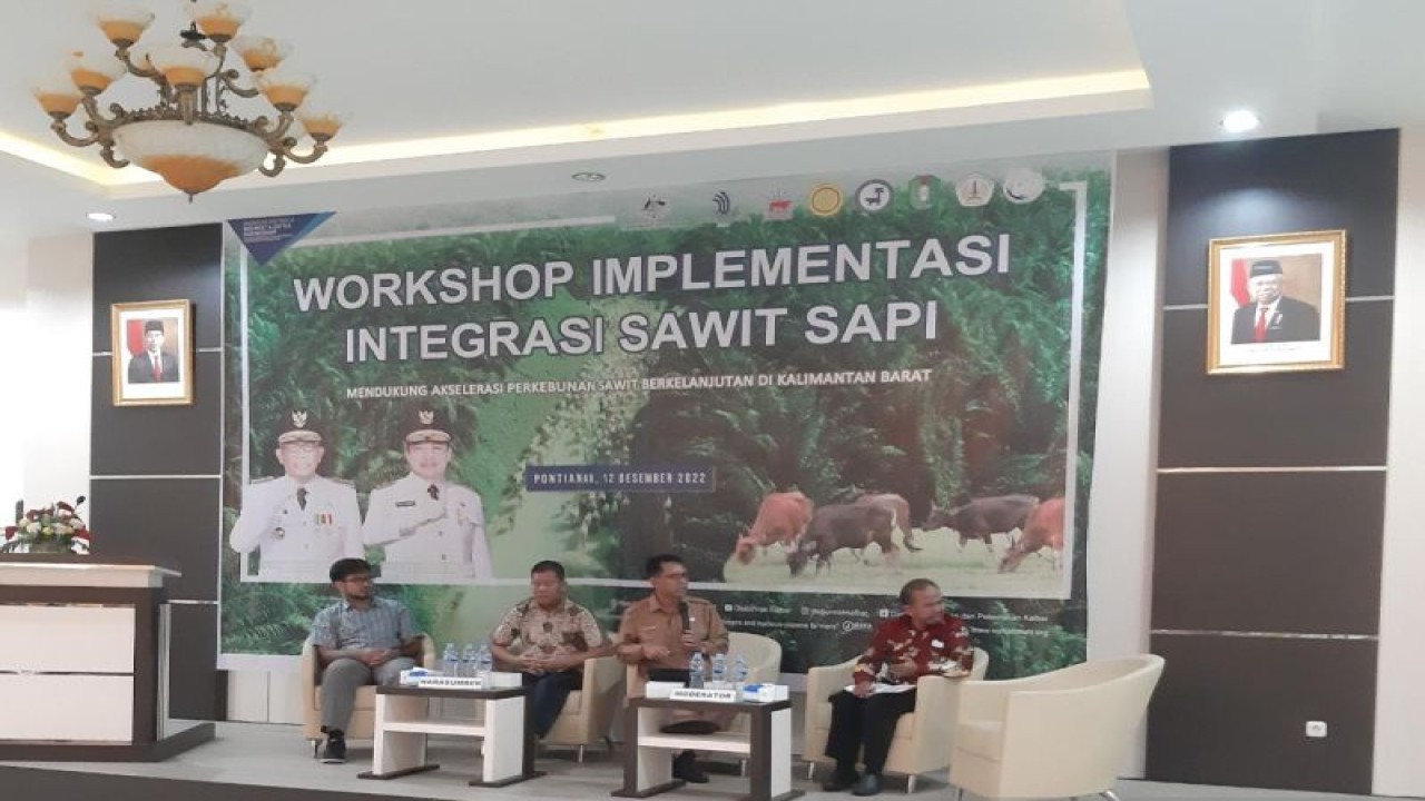 Workshop Implementasi Integrasi Sawit Sapi di Pontianak, Senin. (Workshop Implementasi Integrasi Sawit Sapi di Pontianak, Senin.)