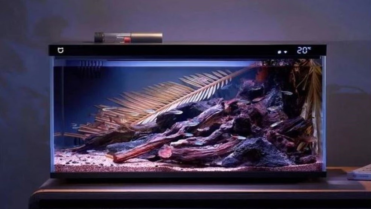 Akuarium pintar Xiaomi bisa beri makan ikan dari jauh. (Gizmochina)