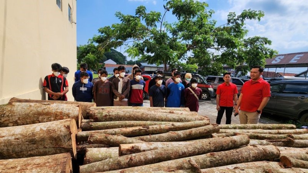 15 pelaku pembalakan liar di sekitar kawasan sabuk hijau di Waduk Jatibarang Semarang diamankan Polrestabes Semarang, Kamis. (ANTARA/ I.C.Senjaya)