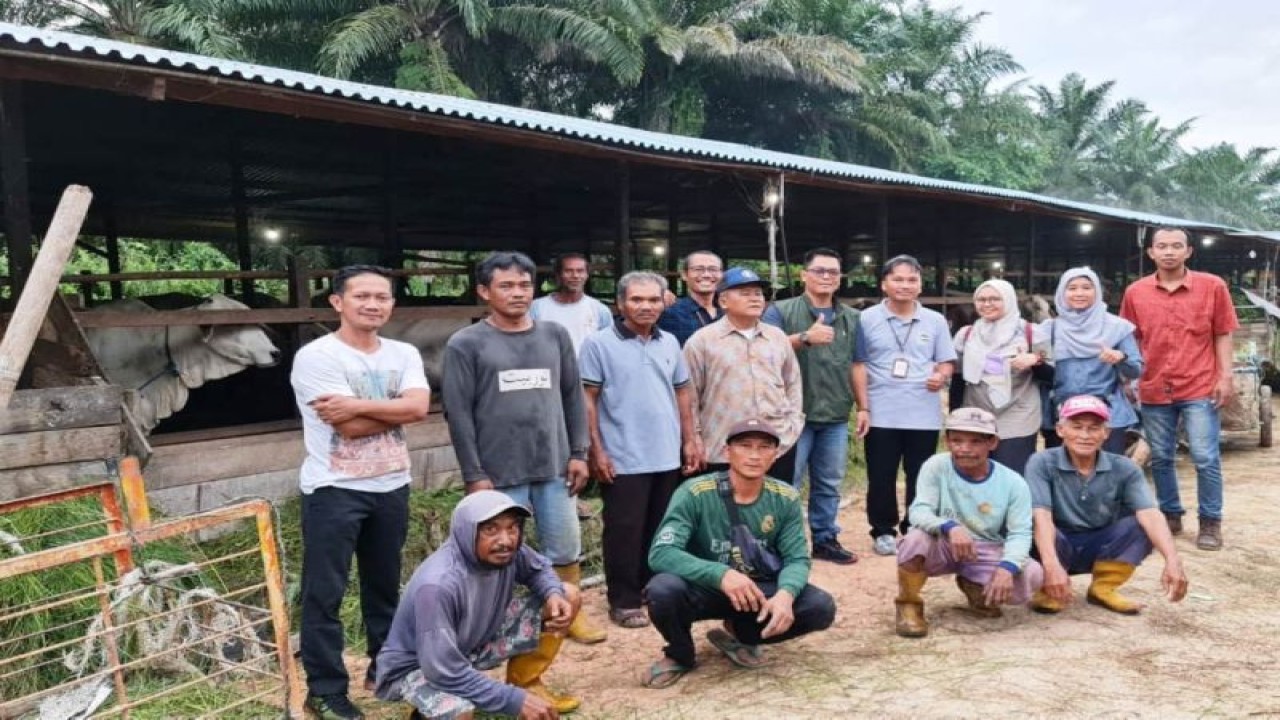 Tim dan pendamping dari Dinas Pertanian Kabupaten PPU saat melakukan kunjungan ke salah satu peternakan di Kabupaten PPU yang mendapat KUR tahun 2022, Kunjungan dilakukan di awal Januari 2023 (Antara/ Ho dokumentasi pribadi,)