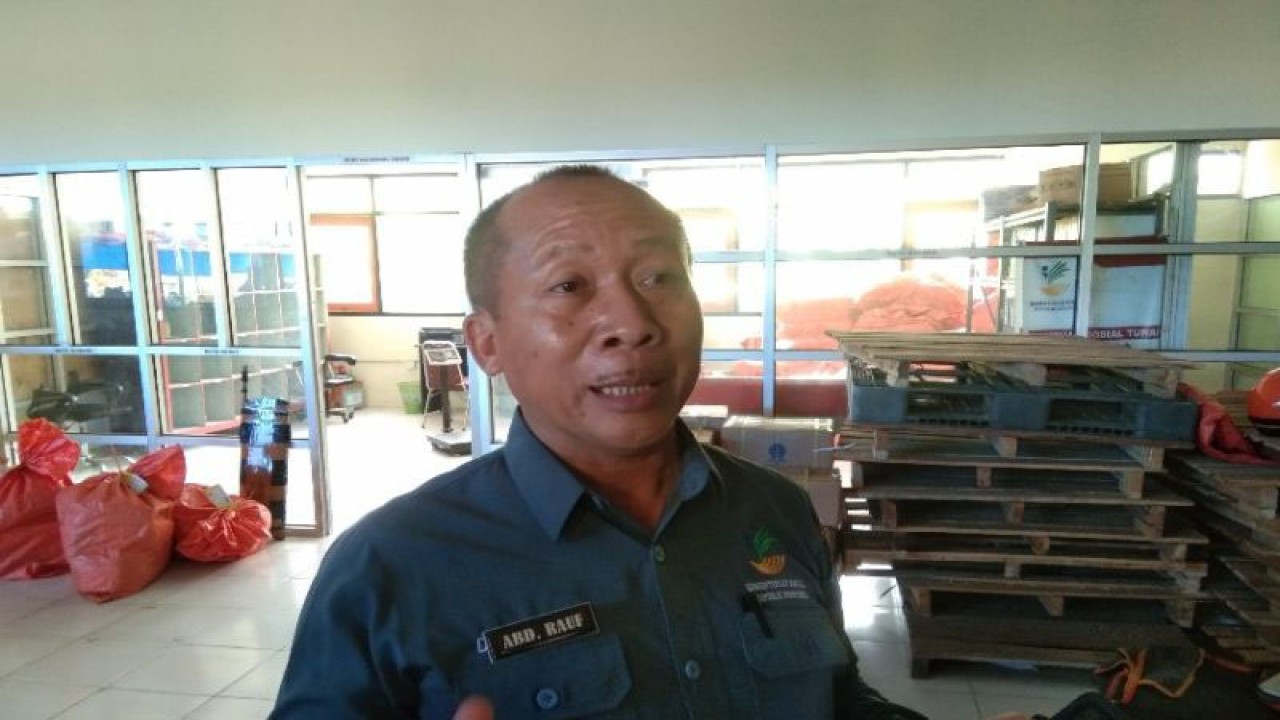 Kepala Dinas Sosial Kendari Abdul Rauf (ANTARA/Harianto)