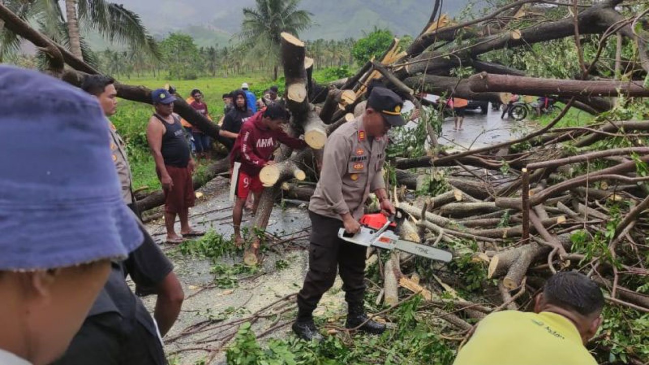 Kapolres Gorontalo Utara, AKBP Juprisan Pratama Ramadhan Nasution, memimpin pembersihan pohon tumbang di lintas Sulawesi wilayah barat kabupaten, Desa Motihelumo, Kecamatan Sumalata Timur. (ANTARA/HO-Polres Gorontalo Utara)