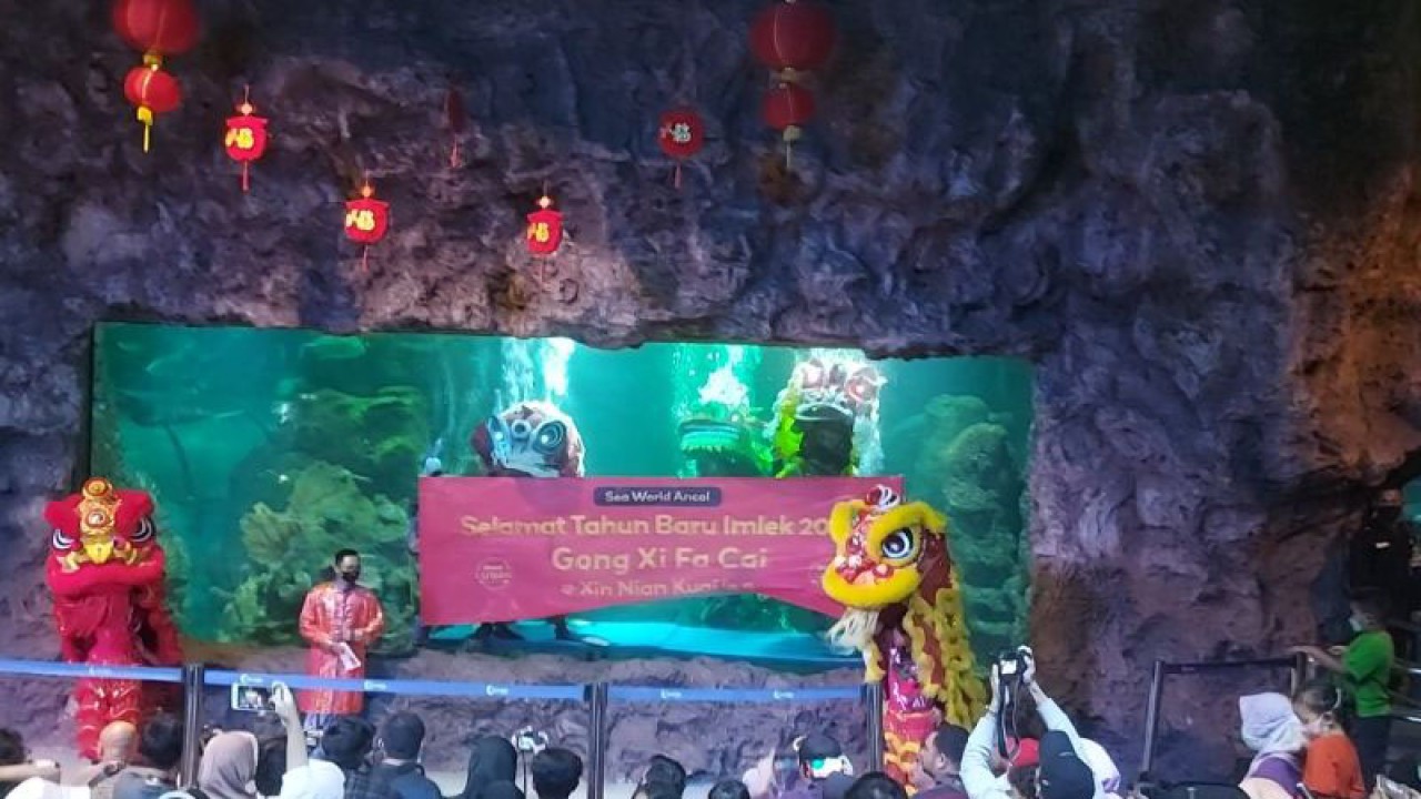 Sejumlah pengunjung Taman Impian Jaya Ancol menikmati atraksi Barongsai di akuarium utama Sea World bertajuk Dewi Bulan dan Tabib Kelinci atau senada dengan shio Imlek tahun ini yakni Kelinci Air pada Rabu (18/1/2023). ANTARA/Abdu Faisal