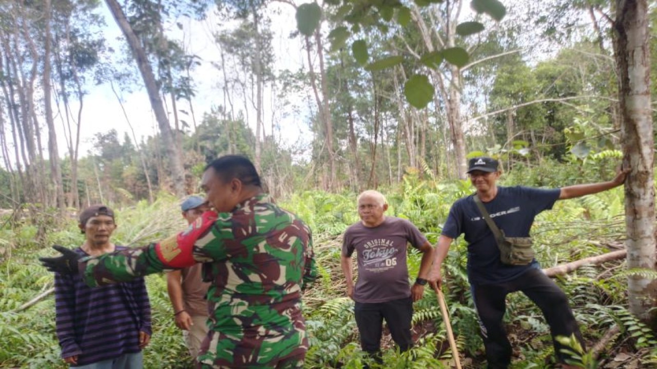 Babinsa Koramil Kalis bersama perangkat desa melaksanakan patroli mengantisipasi terjadinya kebakaran hutan dan lahan di wilayah Kalis dan Bika Kabupaten Kapuas Hulu Kalimantan Barat. ANTARA/HO-Koramil Kalis. (Teofilusianto Timotius)
