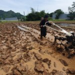 bajak sawah-1673416023