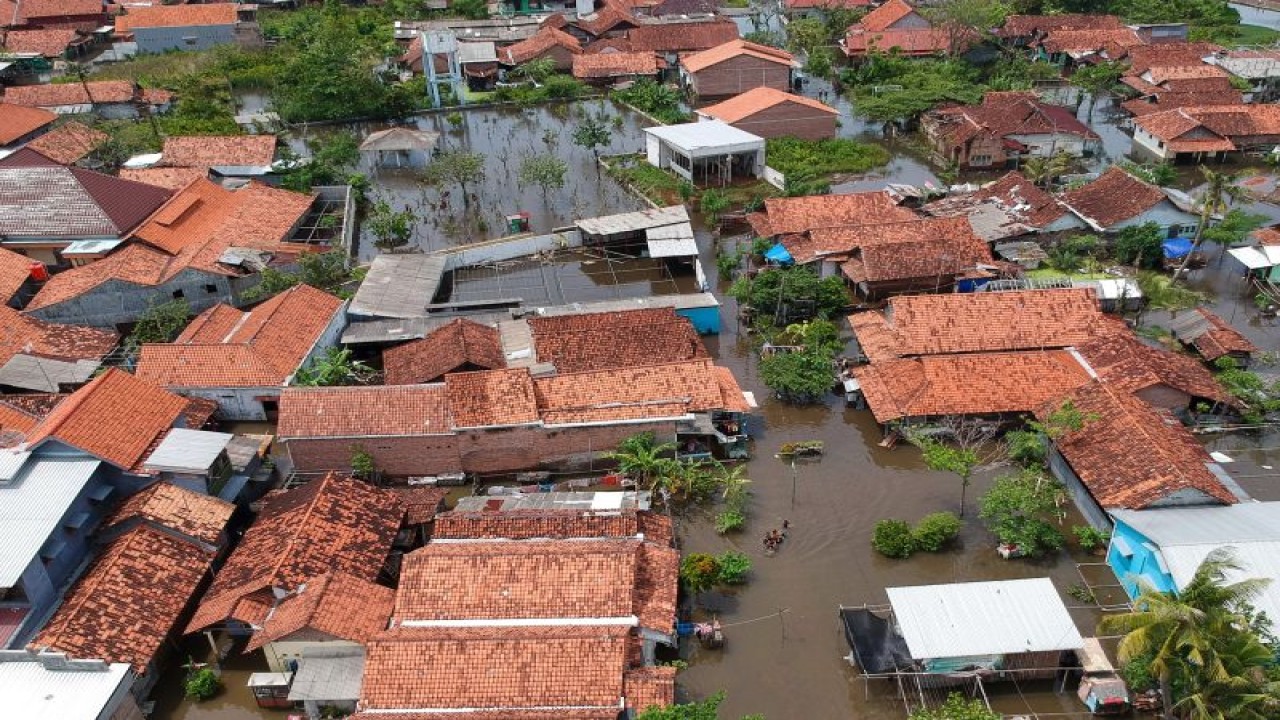 Banjir menggenangi permukiman penduduk dan fasilitas umum di Tirto, Pekalongan, Jawa Tengah, Senin (2/1/2023). Hujan lebat membuat air Sungai Bremi, Sungai Pekalongan, dan Sungai Banger meluap dan membanjiri permukiman warga di Kota Pekalongan, Provinsi Jawa Tengah. (ANTARA FOTO/Harviyan Perdana Putra/foc)