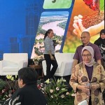 Bappenas sebut pembiayaan ketahanan iklim masih tertinggal-1674722600