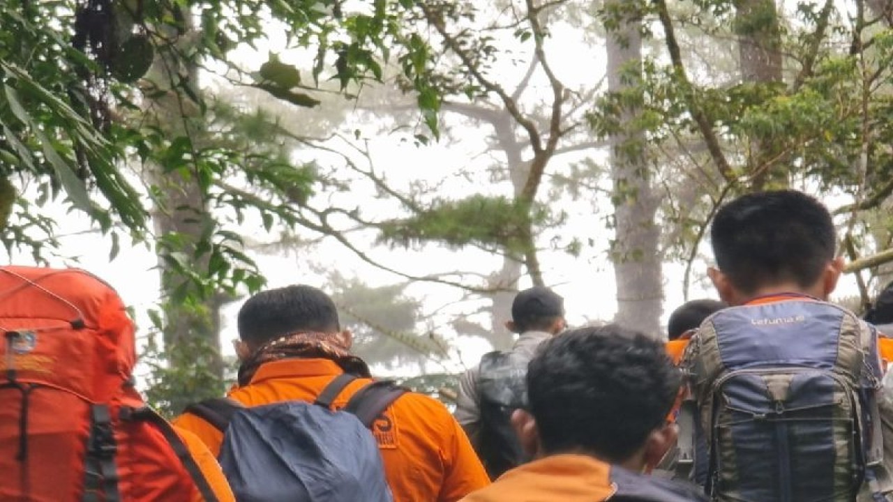 Personel Basarnas Padang, Sumbar, bersama tim SAR gabungan lain saat memandu pendaki turun dari Gunung Marapi, Ahad (8/1/2023). FOTO ANTARA/HO-BASARNASPADANG