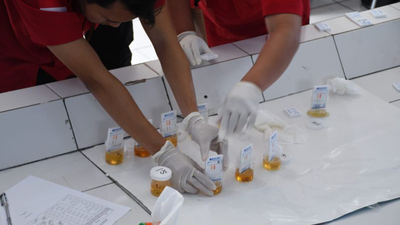 BNN Kota Sabang, Provinsi Aceh melaksanakan tes urine terhadap personel Satuan Radar 233 Sabang, Kamis (12/1/2023). (FOTO ANTARA/HO-BNNK Sabang)