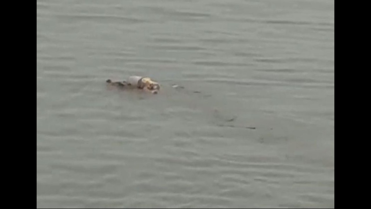 Buaya antar jasad siang. (Net)