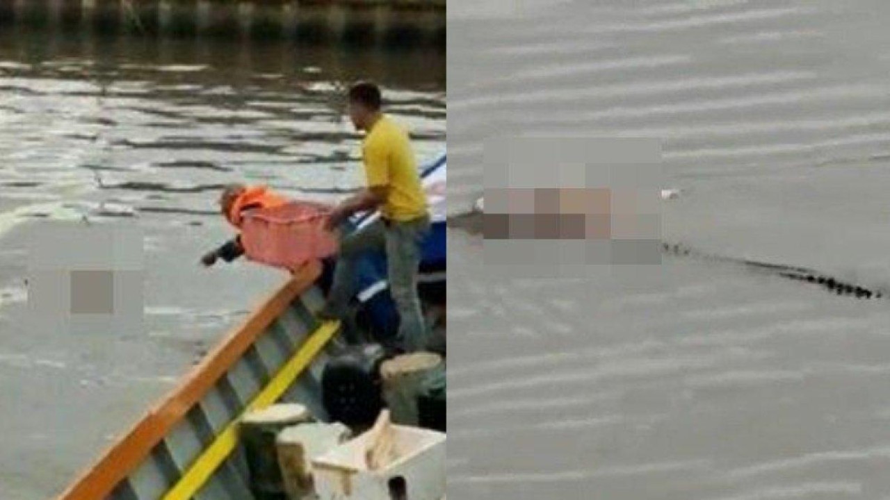 Buaya antar jasad korban tenggelam/ist