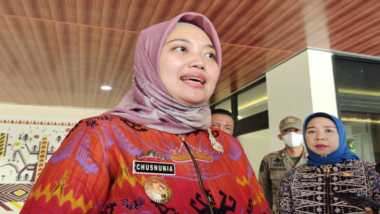 Wakil Gubernur Lampung Chusnunia Chalim memberi keterangan. ANTARA/Ruth Intan Sozometa Kanafi.