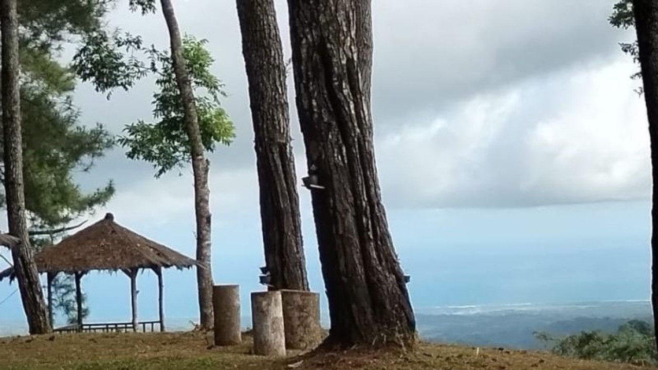 Objek wisata Gunung Pabeasan di Kecamatan Naringgul, Cianjur, Jawa Barat, dengan latar belakang Samudera Hindia, yang menjadi tempat berswafoto yang menjanjikan keindahan bagi wisatawan. ANTARA/Ahmad Fikri