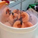 Ciki ngebul/ist-1673097661