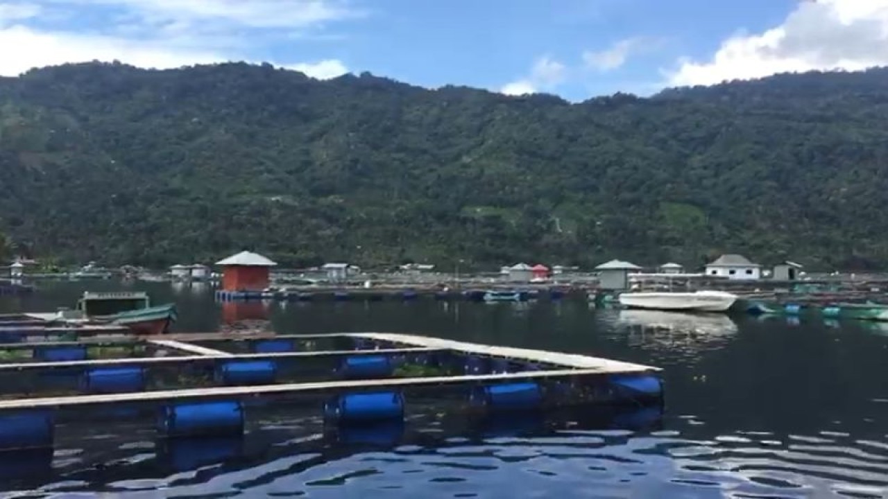 Suasana keramba jaring apung di Danau Ranau Kecamatan Lumbok Seminung, Kabupaten Lampung Barat, Provinsi Lampung, Rabu (18/1/2023. (FOTO ANTARA/HO-Dinas Perikanan Lampung Barat)