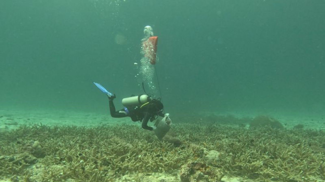 Salah seorang penyelam memilih sampah di dasar laut kawasan destinasi wisata Pulau Rubiah, Gampong Iboih, Kota Sabang, Aceh, Rabu (18/1/2023). (ANTARA/HO-Rubiah Tirta Divers)