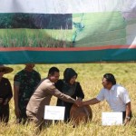 Direktur Jenderal Tanaman Pangan Kementan Suwandi dan Pejabat Pemprov Banten panen raya di Kabupaten Pandeglang. ANTARA/HO-Kementan.-1673418883