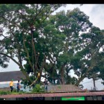 DLH Rejang Lebong-1674223033
