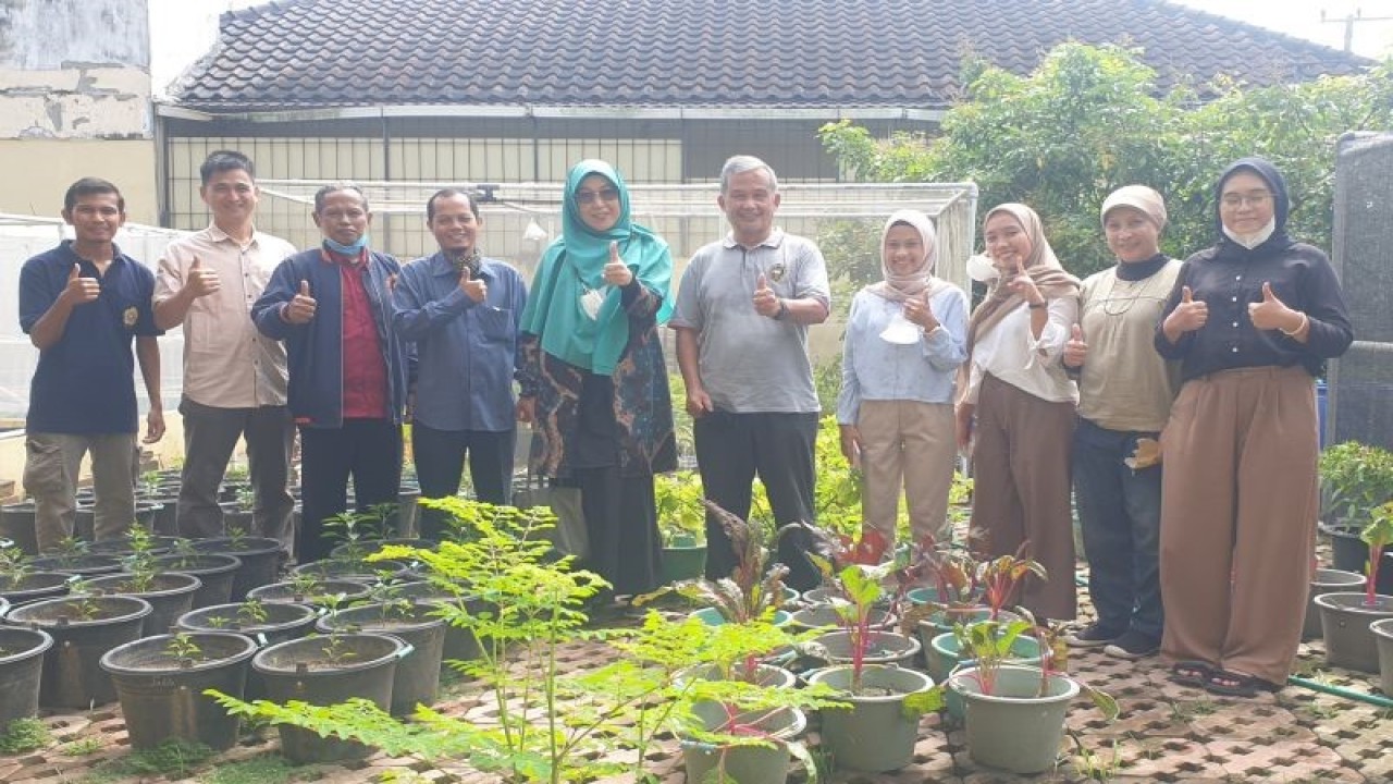 Dosen dan mahasiswa Unsri mengoptimalisasi pemanfaatan lahan perkarangan rumah. ANTARA/Yudi Abdullah