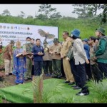 elang-1675070640