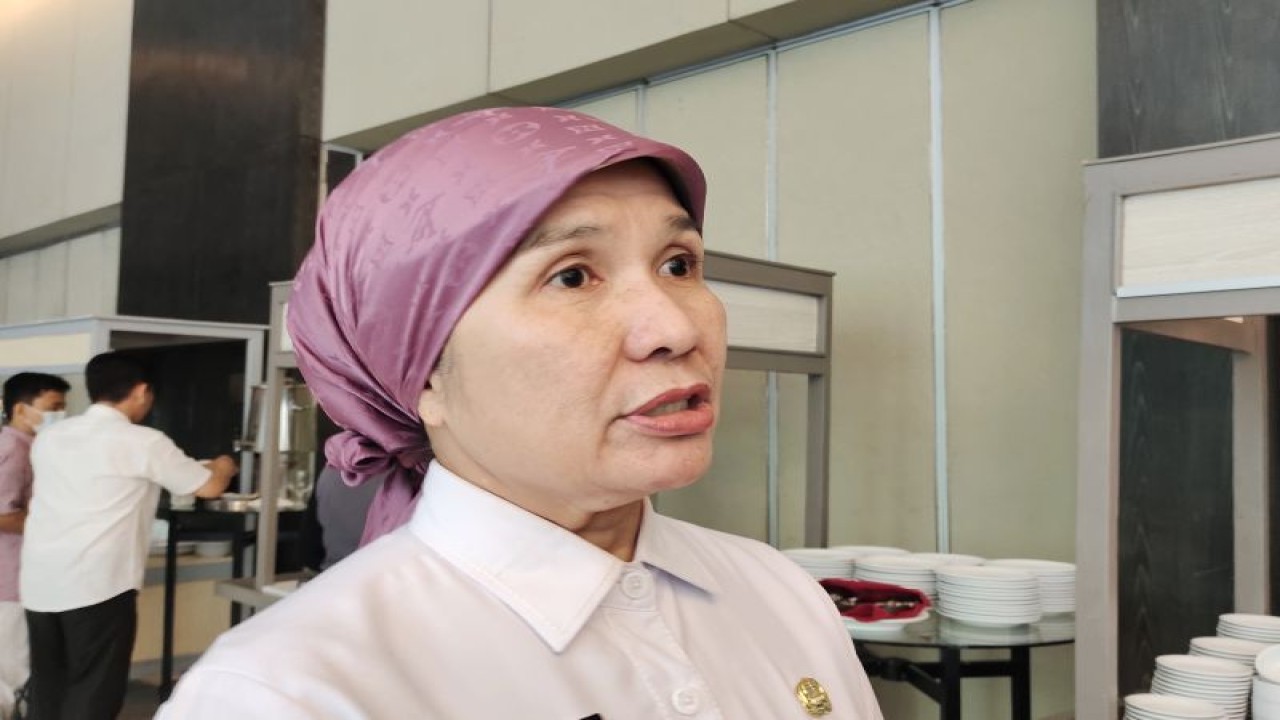 Kepala Dinas Lingkungan Hidup Provinsi Lampung Emilia Kusumawati saat memberi keterangan. ANTARA/Ruth Intan Sozometa Kanafi.