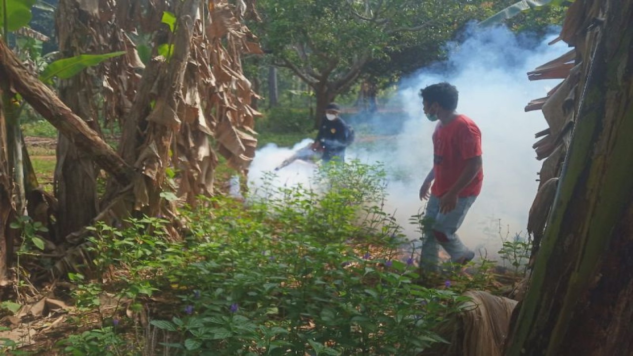 Petugas kesehatan melakukan pengasapan sebagai salah satu upaya pencegahan penyebaran DBD di Lembata, NTT. (ANTARA/Dokumentasi Pribadi)