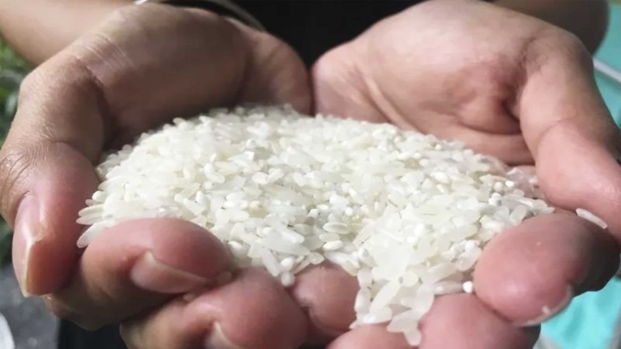 Foto arsip. Beras. (ANTARA/Vicki Febrianto)