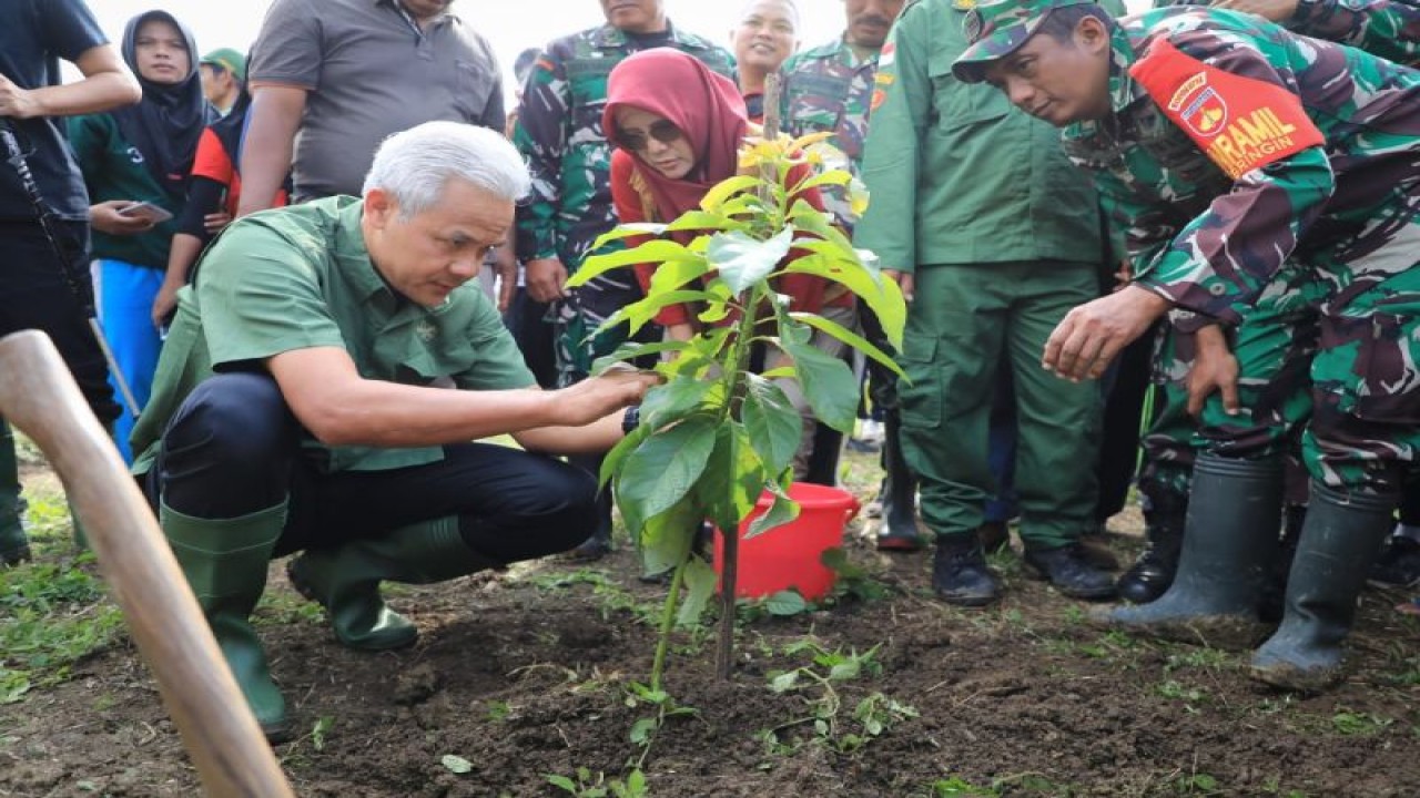 Gubernur Jaw Tengah Ganjar Pranowo bersama warga melakukan penanaman 1.500 bibit pohon untuk menyelamatkan lahan kritis di daerah aliran sungai (DAS) Tuntang, Kabupaten Semarang, Sabtu (28/1/2023). (ANTARA/HO-Humas Pemprov Jateng)
