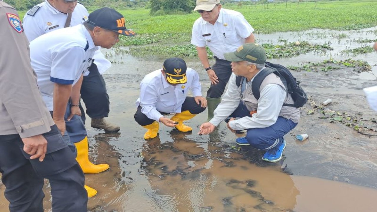 Tim petugas pemerintah memeriksa material erupsi Gunung Kerinci yang meliputi persawahan di Desa Sungai Rumpun, Kecamatan Gunung Tujuh, Kabupaten Kerinci, Provinsi Jambi. (ANTARA/HO BPBD Kerinci)