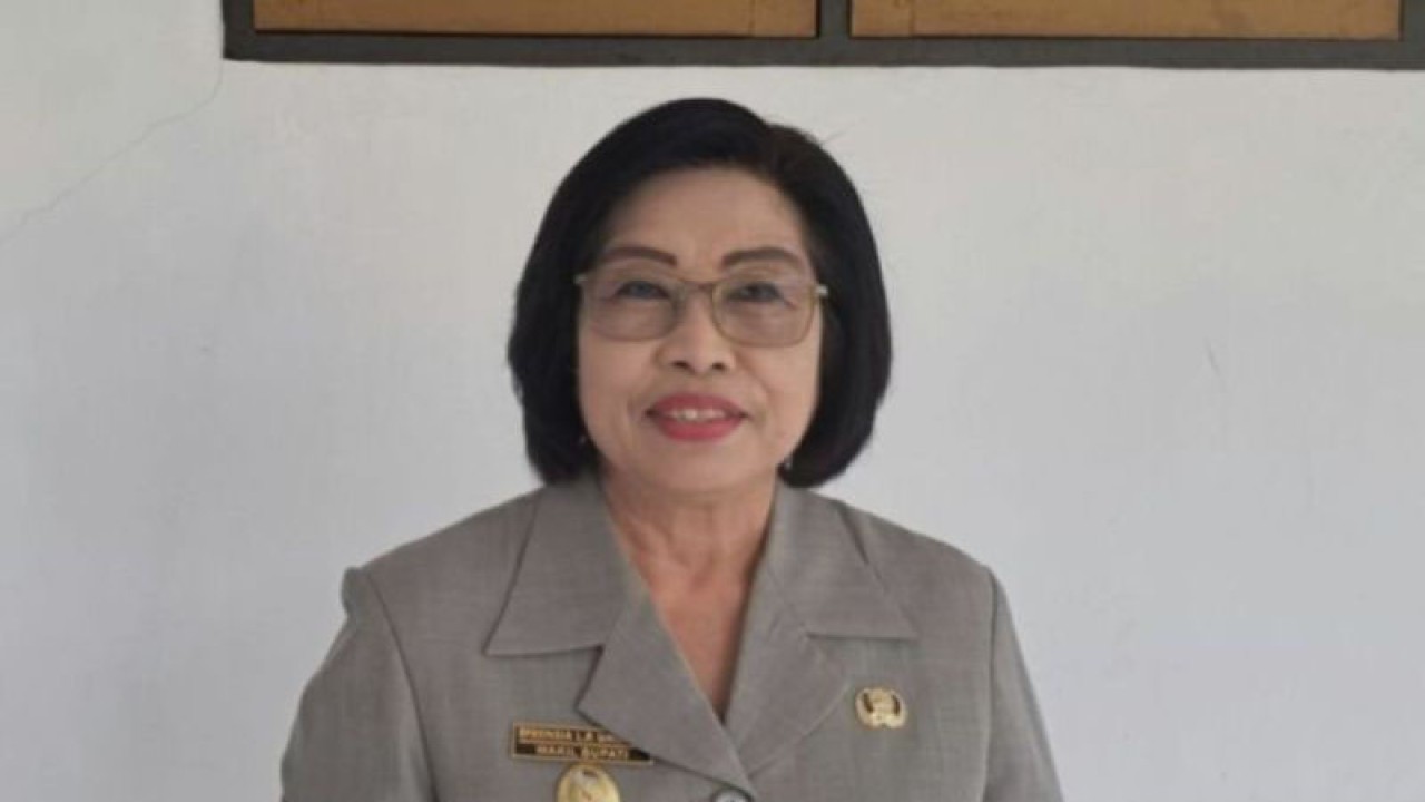 Wakil Bupati Gunung Mas, Provinsi Kalimantan Tengah Efrensia LP Umbing. (ANTARA/Chandra)