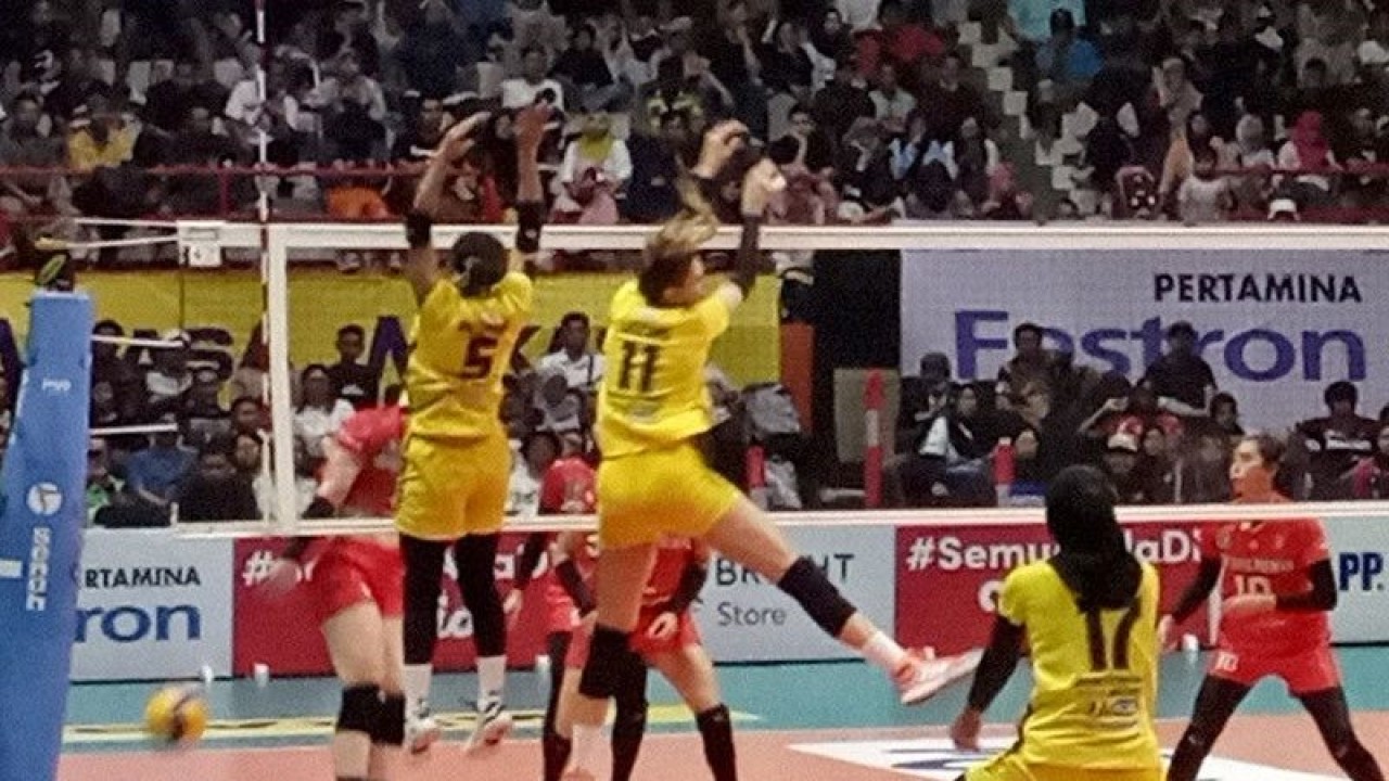 Pertandingan antara Gresik Petrokimia Pupuk Indonesia (kaos kuning) dan Jakarta Popsivo Polwan (kaos merah) pada PLN Mobile Proliga 2023 Putaran Pertama Pekan Kedua di GOR Satria Purwokerto, Kabupaten Banyumas, Minggu (15/1/2023) petang. ANTARA/Sumarwoto