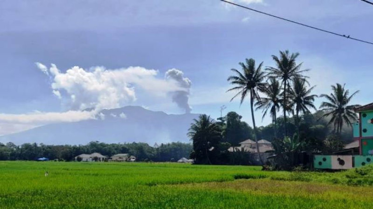 Gunung Marapi, Sumatera Barat, mengalami erupsi pada Kamis siang (12/1/2023). (ANTARA)