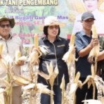Gunung Mas terapkan pertanian terpadu tingkatkan kesejahteraan petani-1674202348