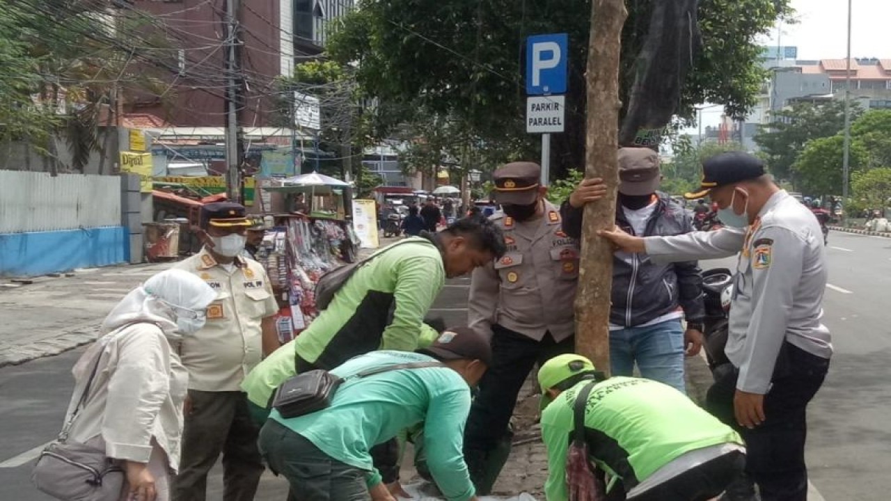 Beberapa petugas gabungan dari Kelurahan Taman Sari, Jakarta Barat tengah menanam pohon di lahan pinggir jalan. ANTARA/ HO-Pemkot Jakarta Barat