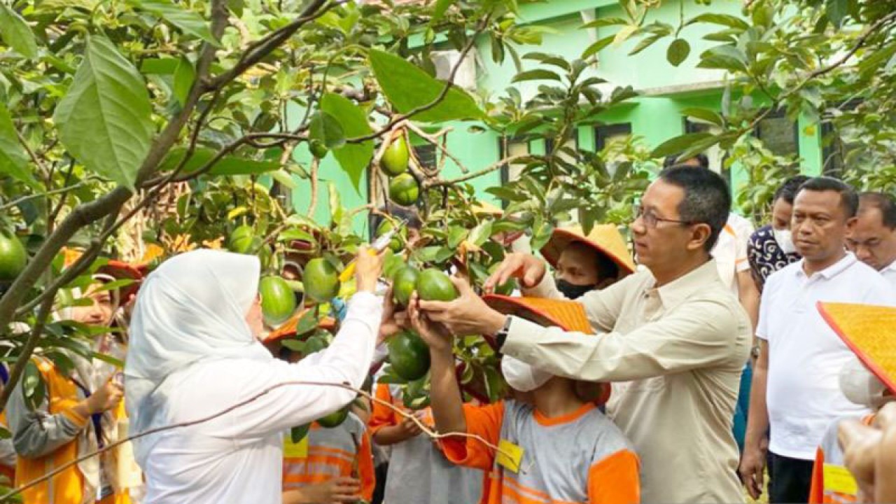 Penjabat (Pj) Gubernur DKI Jakarta Heru Budi Hartono memetik buah bersama anak panti sosial, Jakarta, Jumat (13/1/2023). ANTARA/Luthfia Miranda Putri