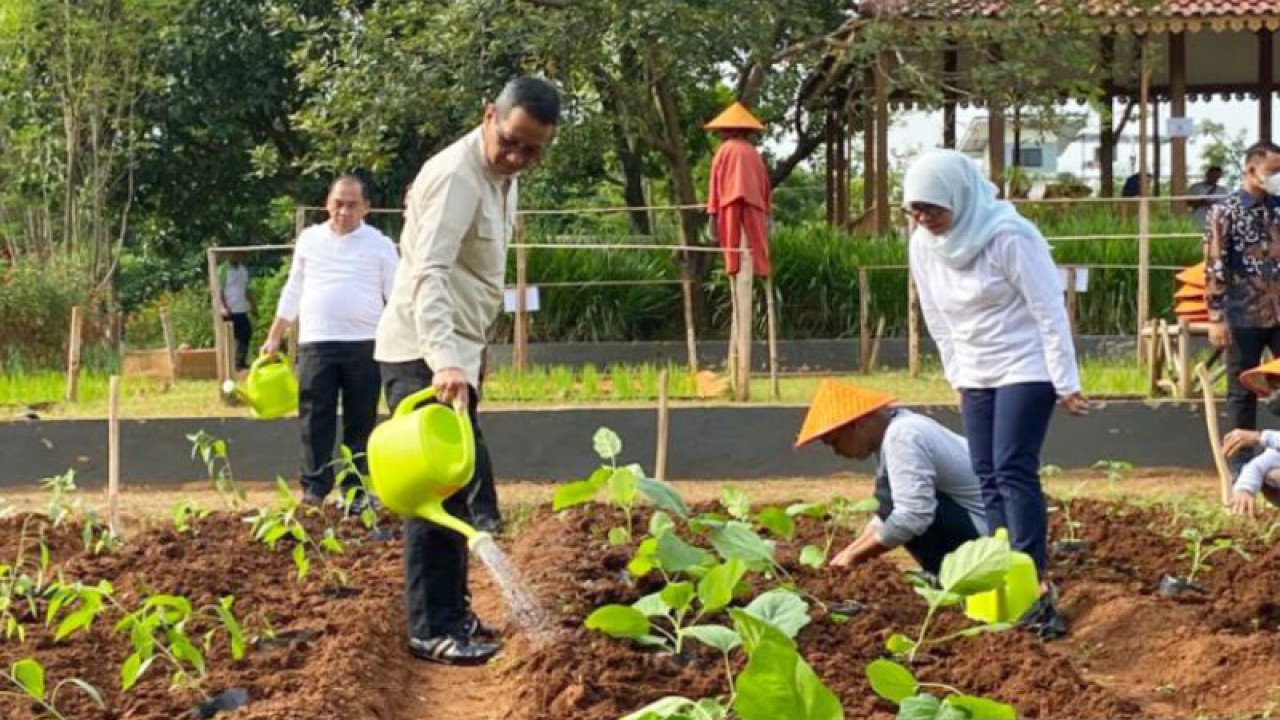 Penjabat (Pj) Gubernur DKI Jakarta Heru Budi Hartono menyiram tanaman terong di AEW Ragunan, Jakarta, Jumat (13/1/2023). ANTARA/Luthfia Miranda Putri