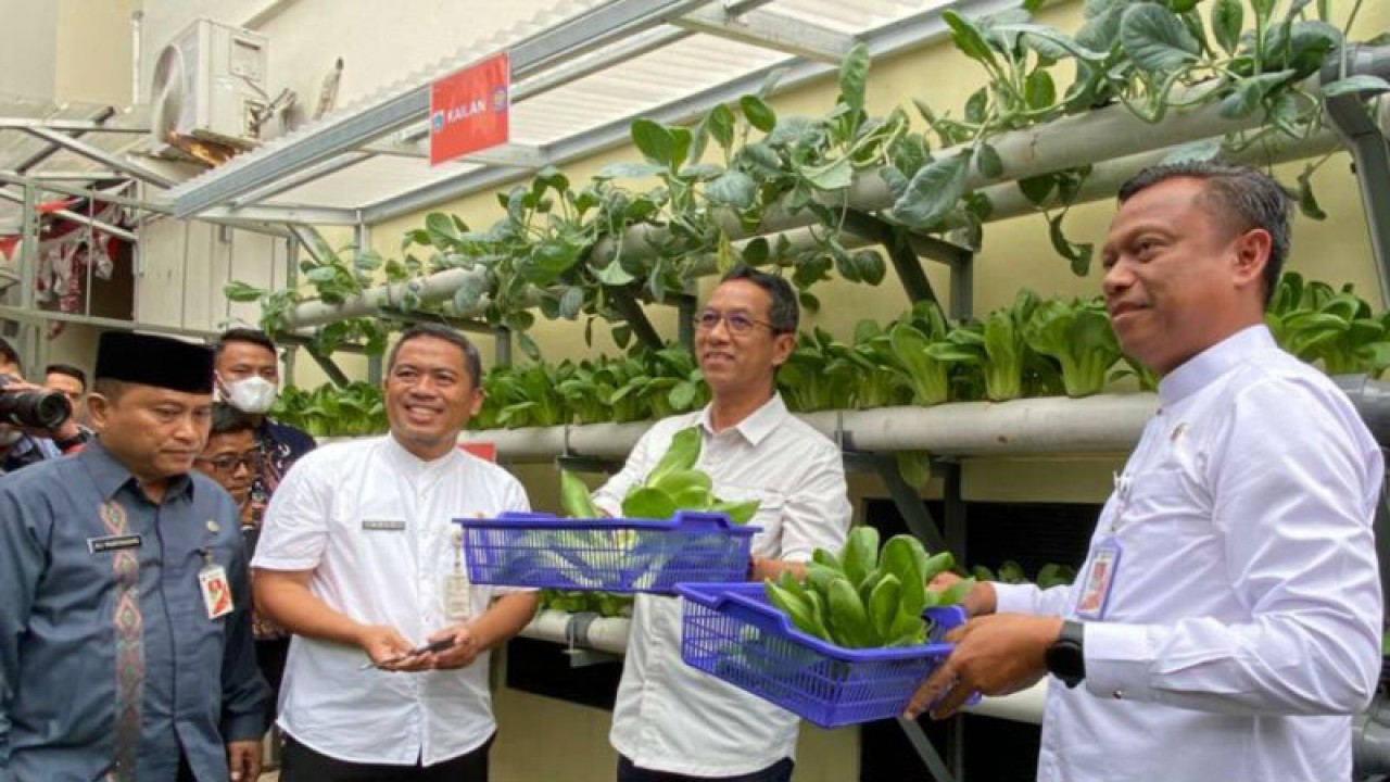 PJ Gubernur DKI Heru Budi Hartono menanam cabai dan meresmikan kolam ikan ketahanan pangan, Jakarta, Jumat (27/1/2023). ANTARA/Luthfia Miranda Putri