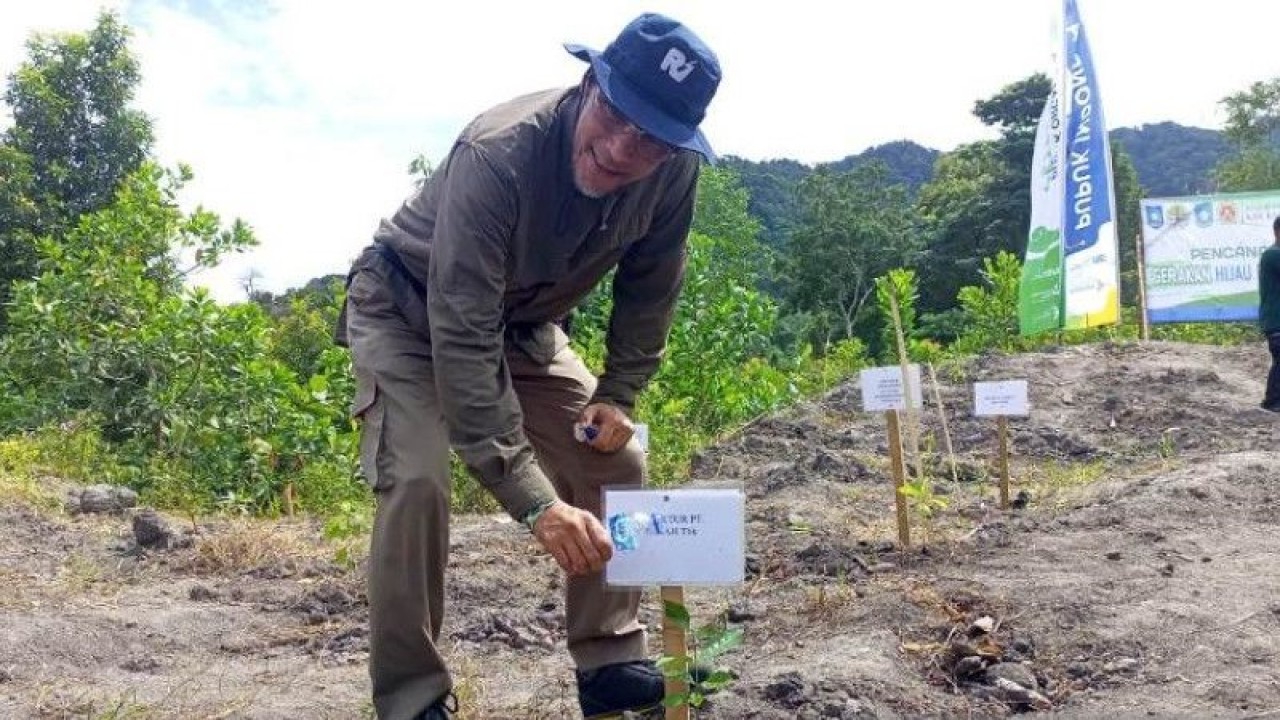 Ilustrasi, Dirut PT Timah Tbk Achmad Ardianto saat melakukan penanaman pohon durian di lahan bekas penambangan timah di Bangka Barat. (Aprionis)