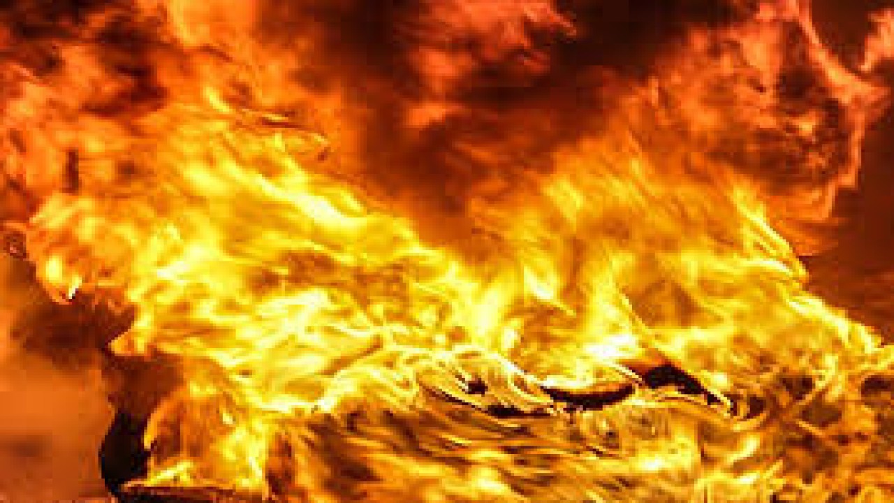 Ilustrasi pembakaran/ist