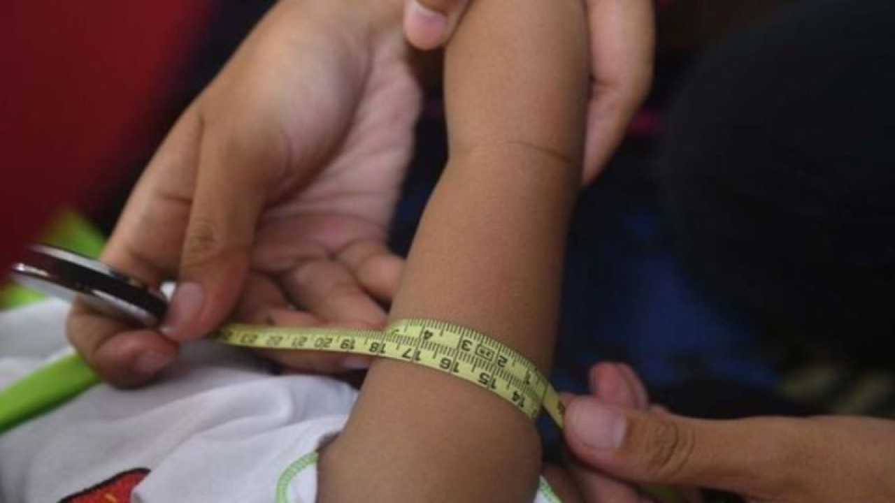 Ilustrasi - Pemeriksaan kondisi kesehatan bayi untuk pencegahan stunting. (ANTARA/HO-Istimewa)