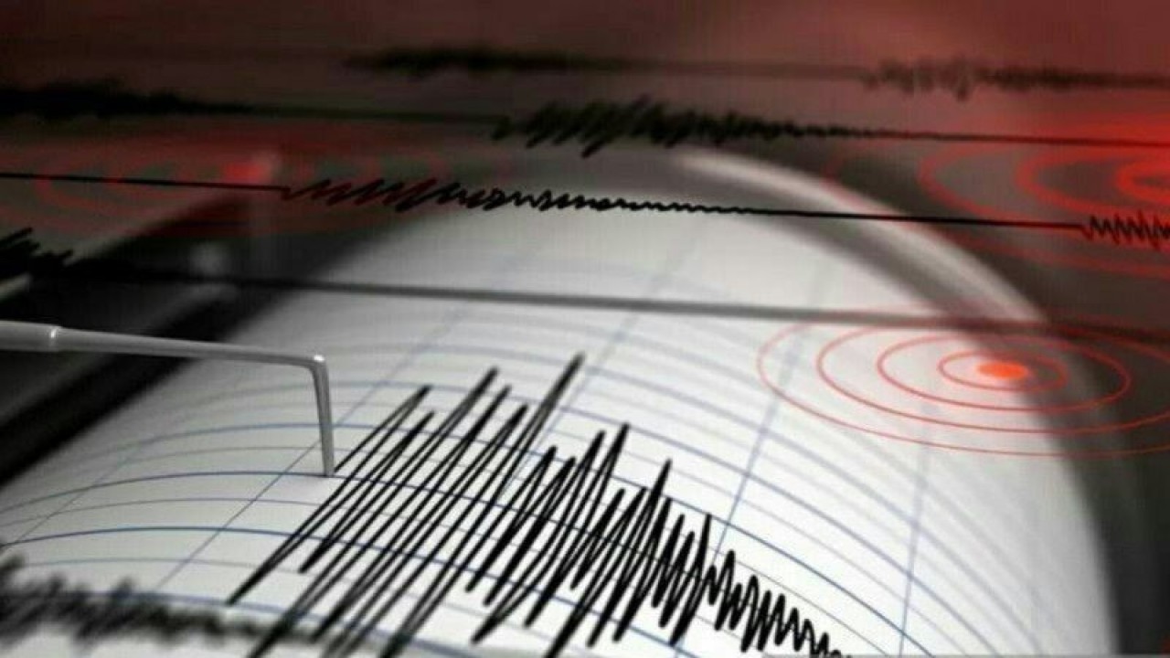Ilustrasi - Seismograf menunjukkan grafik getaran gempa bumi. (ANTARA/Shutterstock/pri)